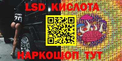 СК Бузулук
