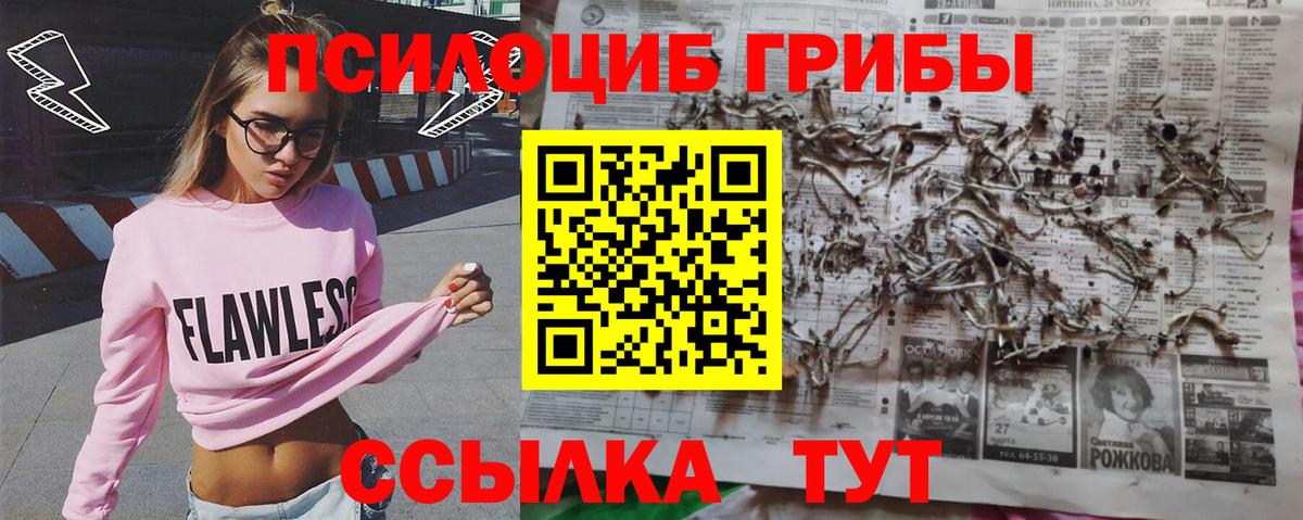 Феодосия  Псилоцибиновые грибы Magic Shrooms  Галлюциногенные грибы Psilocybine cubensis  Вход с VPN 
